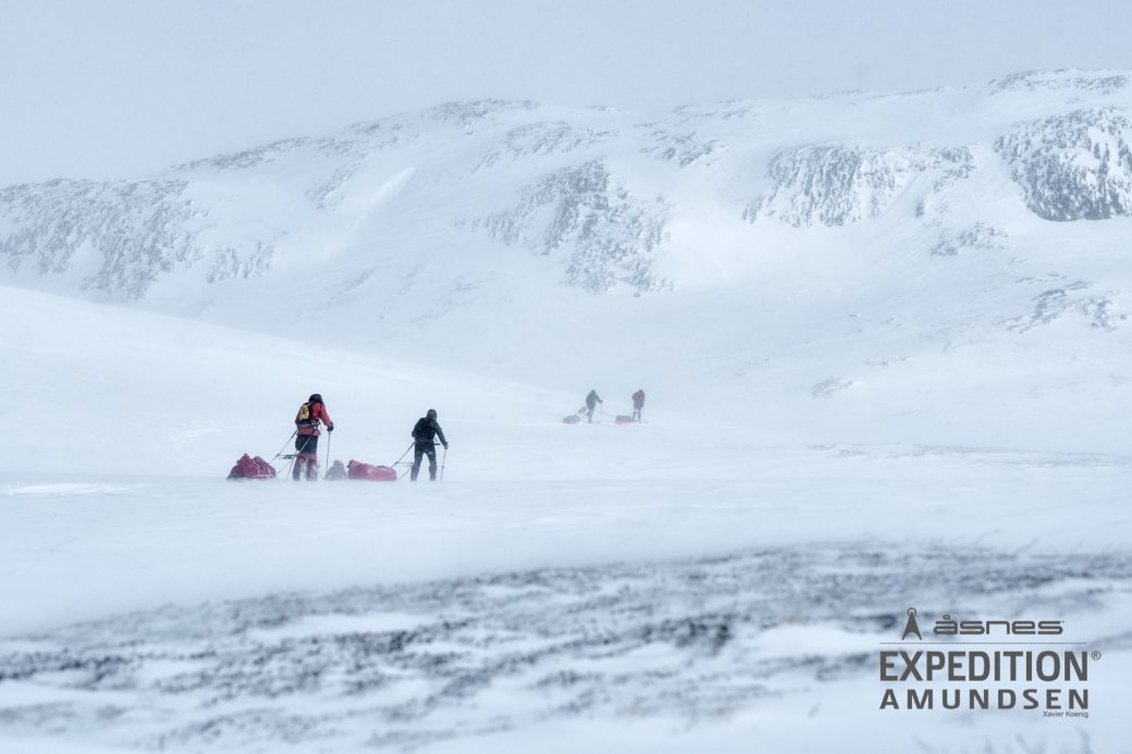 55455360_419652085460106_5060606943781978112_n